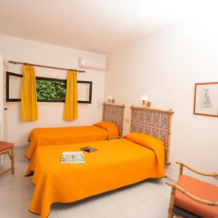 Alsol Tajaraste San Bartolomé