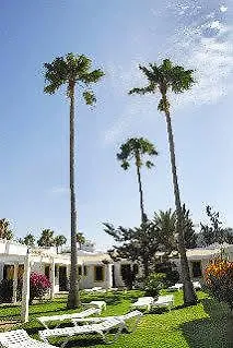 Semesterpark Alsol Tajaraste San Bartolomé